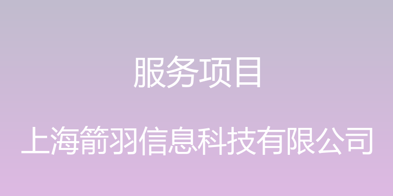 服务项目 - 上海箭羽信息科技有限公司