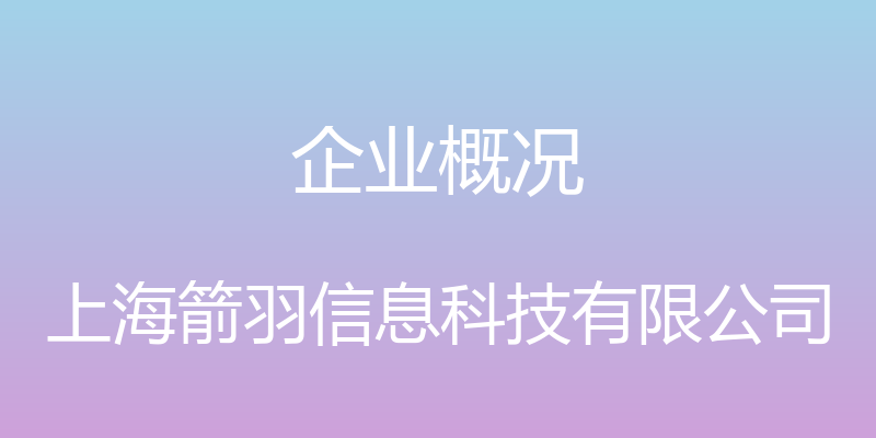 企业概况 - 上海箭羽信息科技有限公司